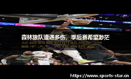 星空体育官网